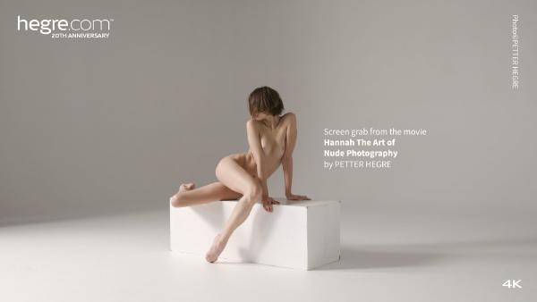 Screen grab #8 from the movie Hannah The Art of Nude Photography
