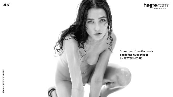 Skärmgrepp #8 från filmen Sashenka nakenmodell