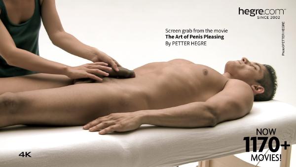 Ekrāna paņemšana #3 no filmas Dzimumlocekļa māksla