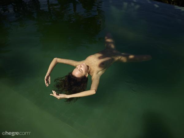 Imagem #3 da galeria Clover arte na piscina nua