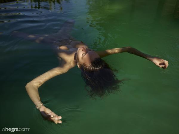 Imagem #4 da galeria Clover arte na piscina nua