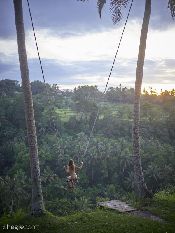 Image #1 from the gallery Clover Ubud Bali swing