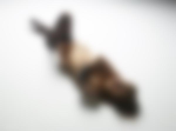 Attēls #8 no galerijas Daniela vilinoša