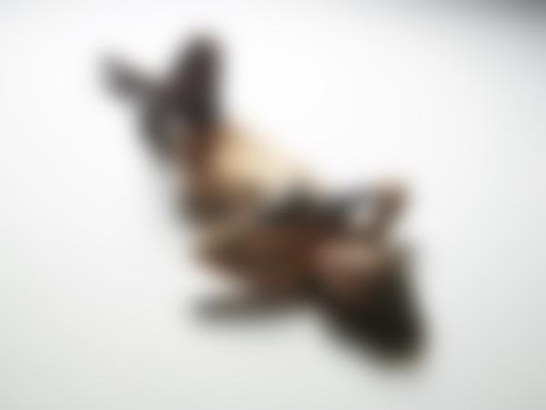 Attēls #9 no galerijas Daniela vilinoša