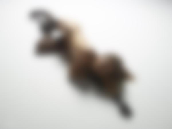 Attēls #11 no galerijas Daniela vilinoša