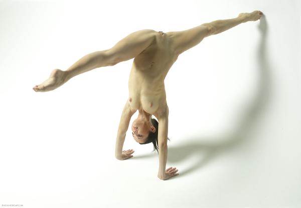 Kuva #5 galleriasta Magdalena eroottinen akrobaatti