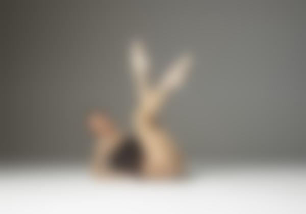 Immagine n.11 dalla galleria Magdalena balletto esplicito