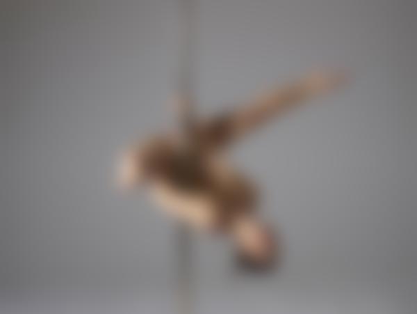 Bilde #8 fra galleriet Mya poledancer