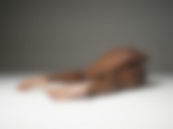 ギャラリー11の画像番号オンベリン・ラウンチー