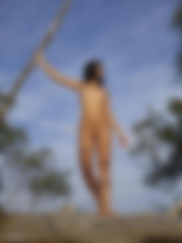 Imagen #11 de la galería Introducción de pines