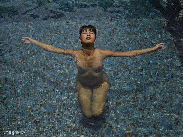 छवि # 1 गैलरी से पिन थाई बुश