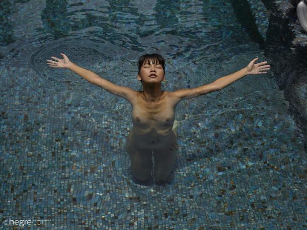 छवि # 3 गैलरी से पिन थाई बुश